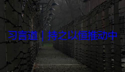 水平发展习言道持之以恒推动中俄关系高