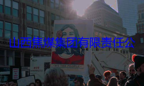 山西焦煤集公司原副总团有限责任查经理杨新华接受审查调